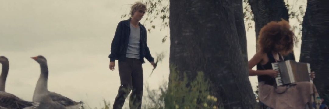 reverie ⋆. 𐙚 ˚ HAYDOVE IS HOME banner