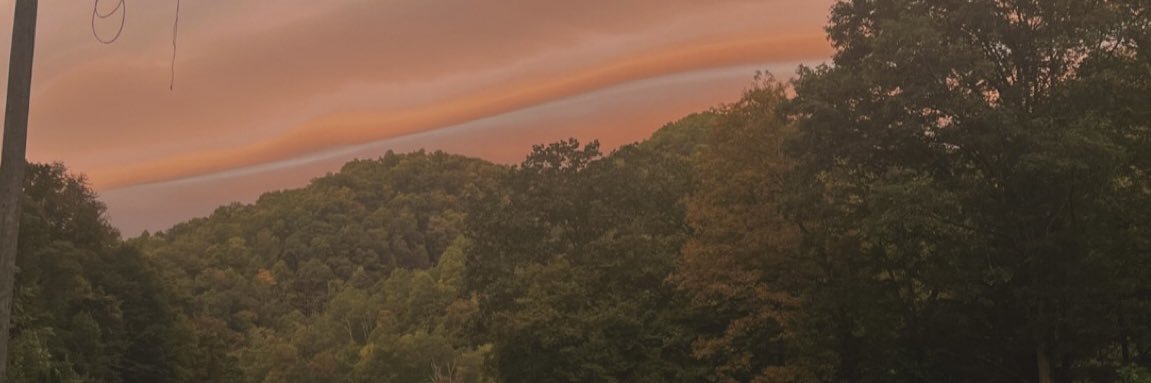 ♡♚ ℳorgan ℛenee ♚♡ banner