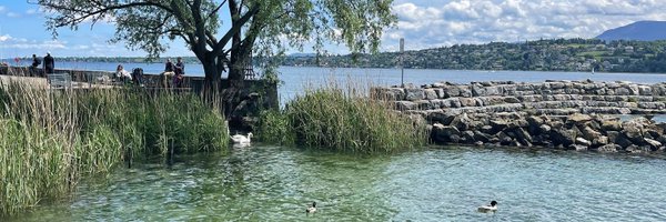 Skrutlnize Profile Banner