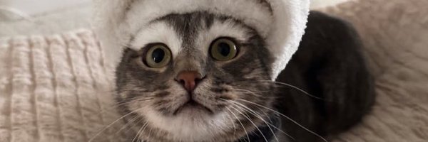 dahnikz Profile Banner