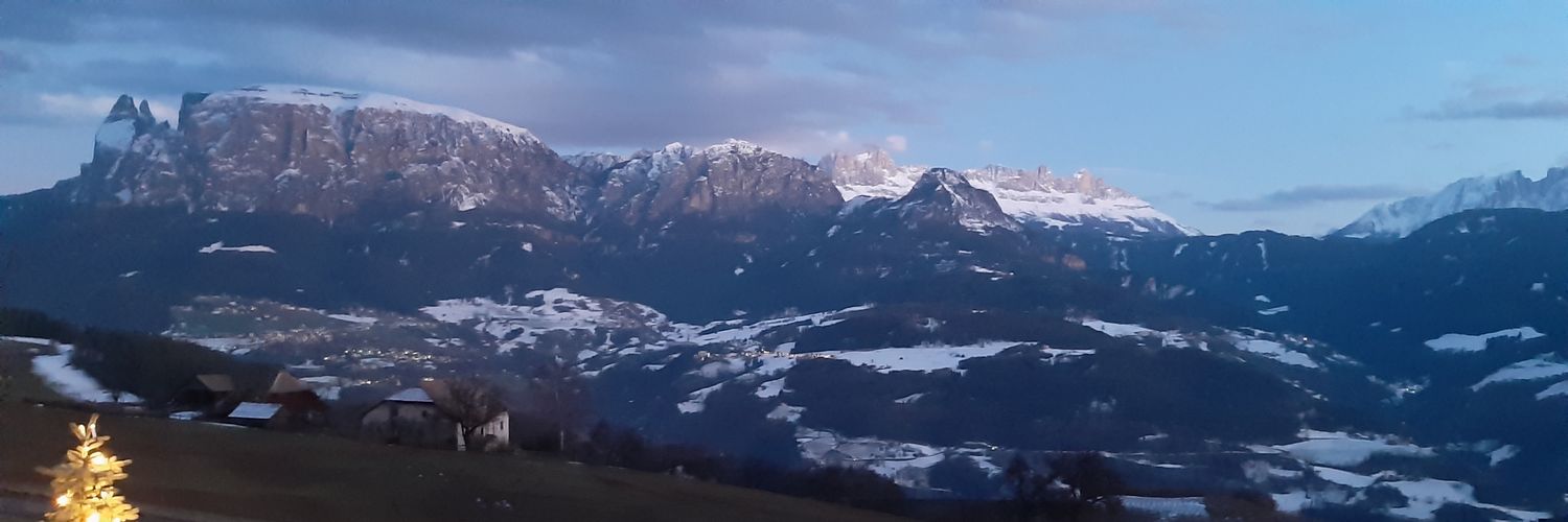 Markus_mll banner