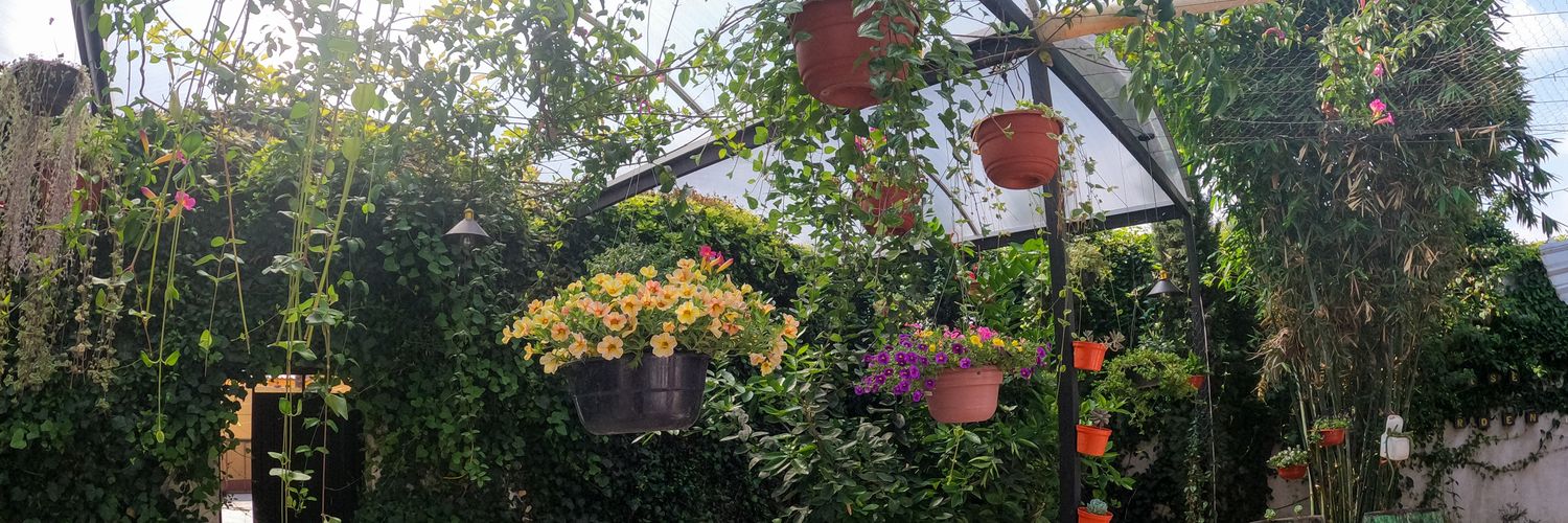 Israel Montiel banner