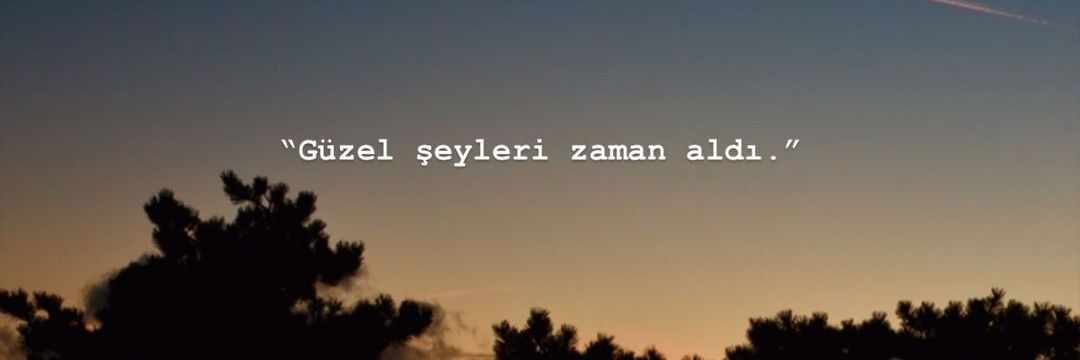 buglem_ali's profile banner image