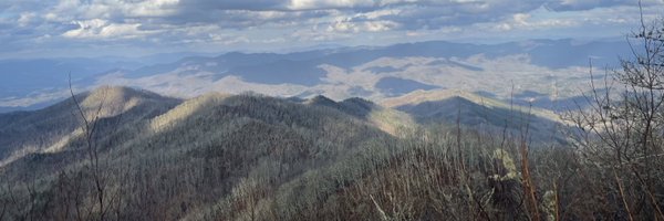 miathegeek Profile Banner