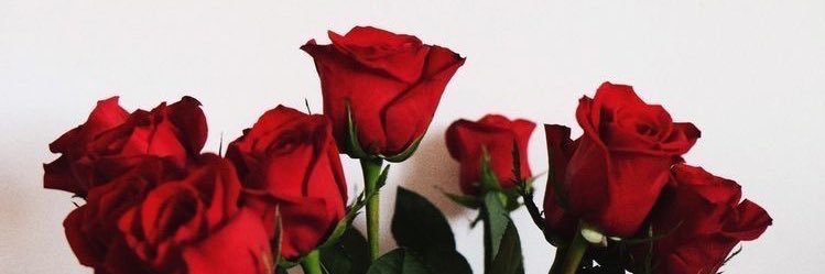 xoxodeesire's profile banner image