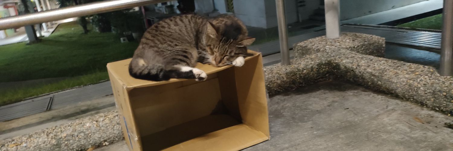 Cutiepatootie banner