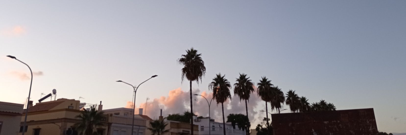 Míster Gregorio banner