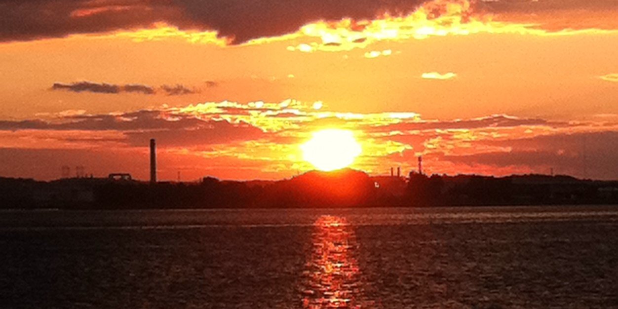 Sheila Kieran 🍀 banner