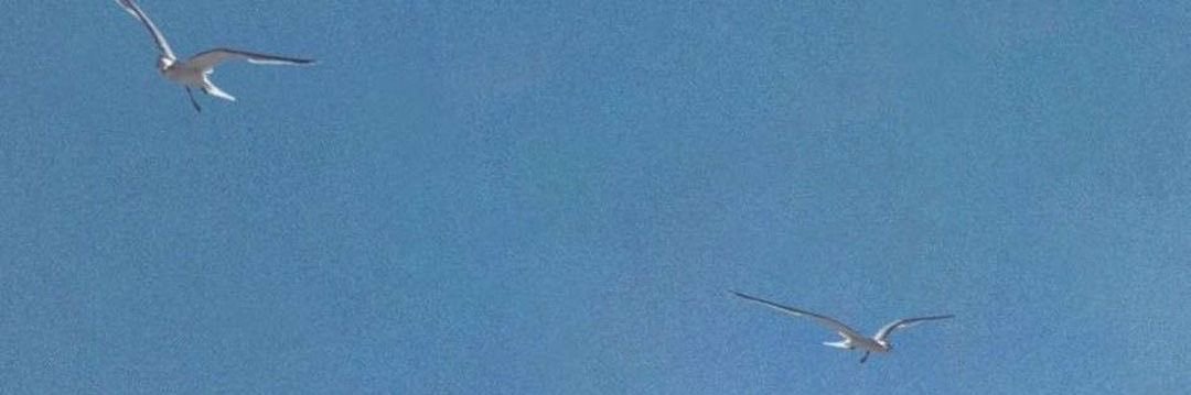 jo 👰🏼‍♀️ banner