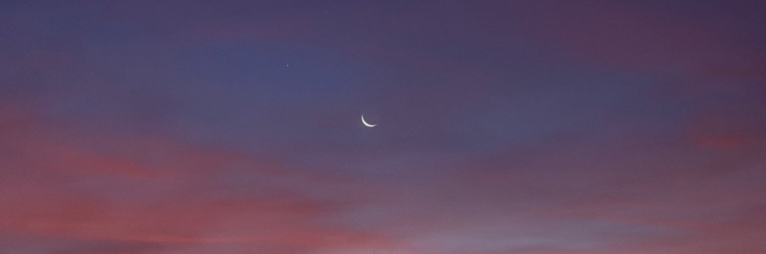 carlaanzolin_'s profile banner image