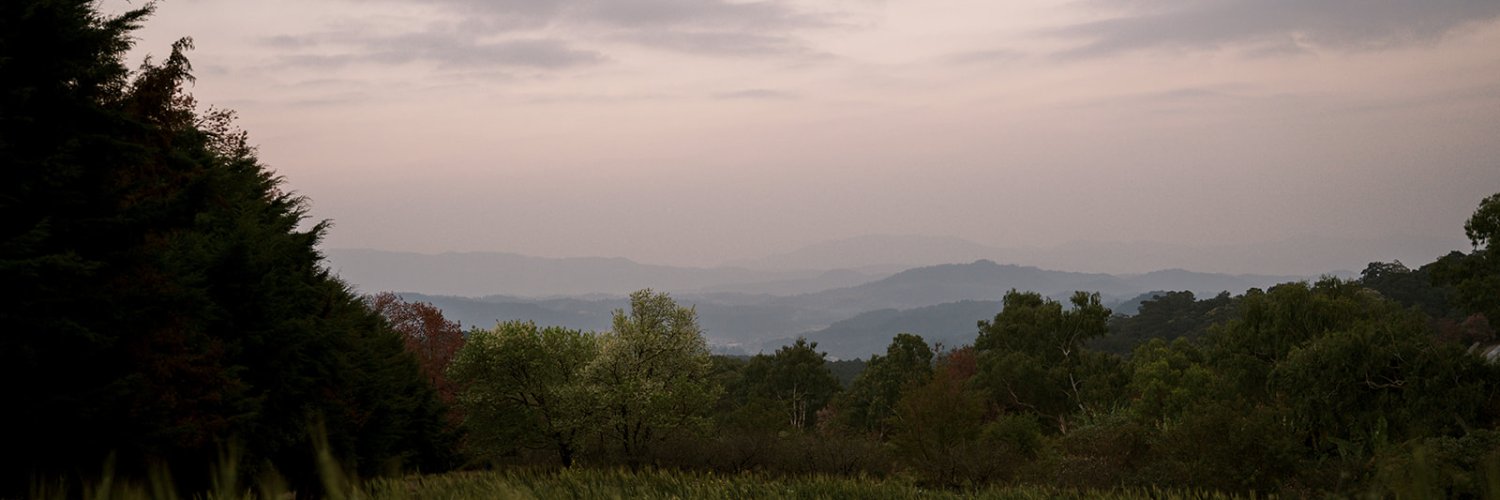 neebcat's profile banner image