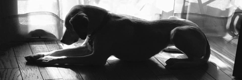 S.Malley banner