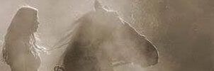 seemo_art's profile banner image