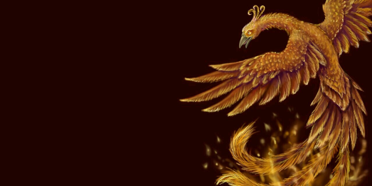 anderson6346's profile banner image