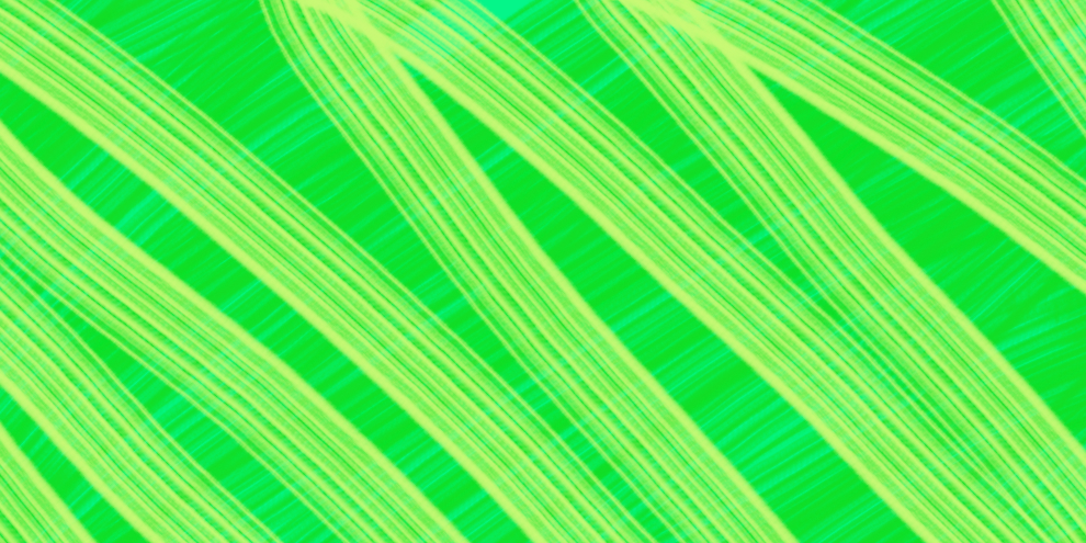 DiscGrace's profile banner image