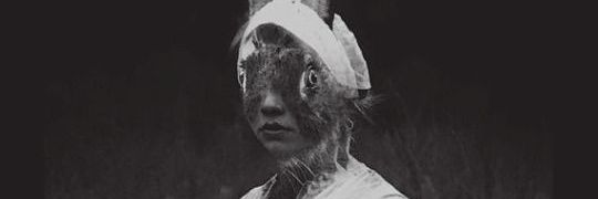 Millo For Targaryen banner