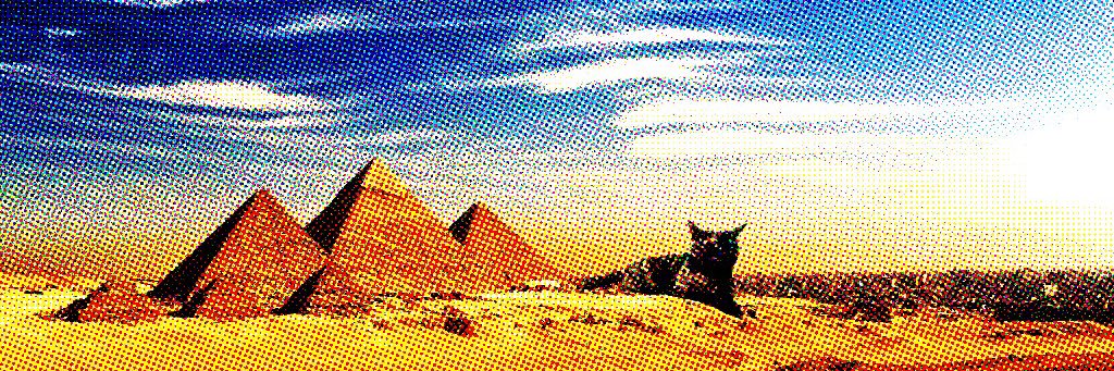 aishitendane's profile banner image