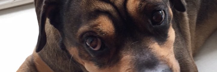 bo_porter18's profile banner image