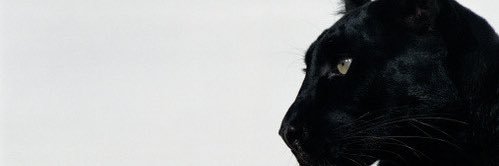 littleJ__'s profile banner image