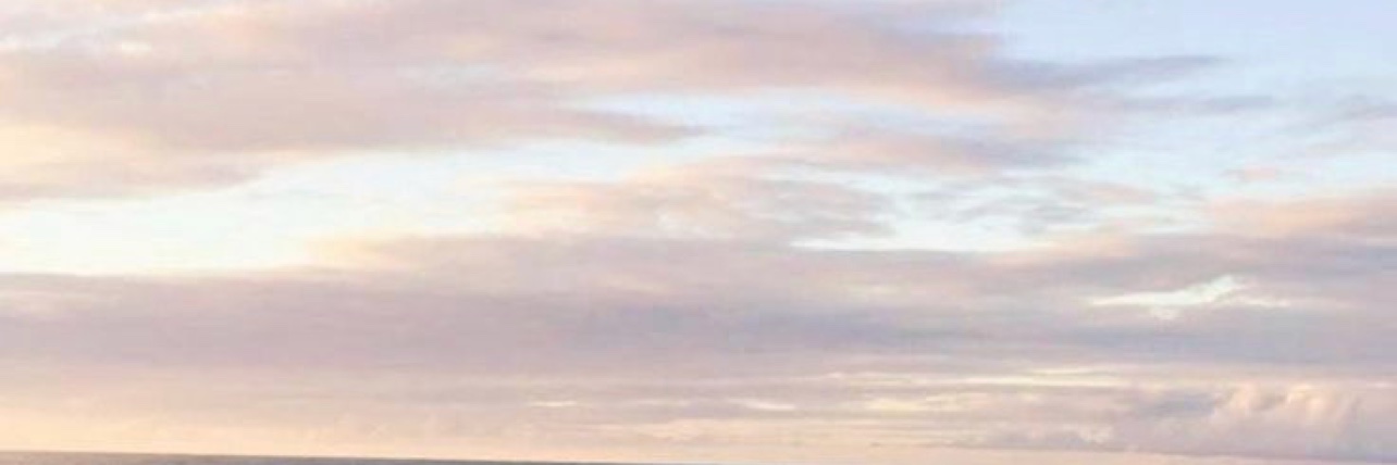 elizabethgs_'s profile banner image