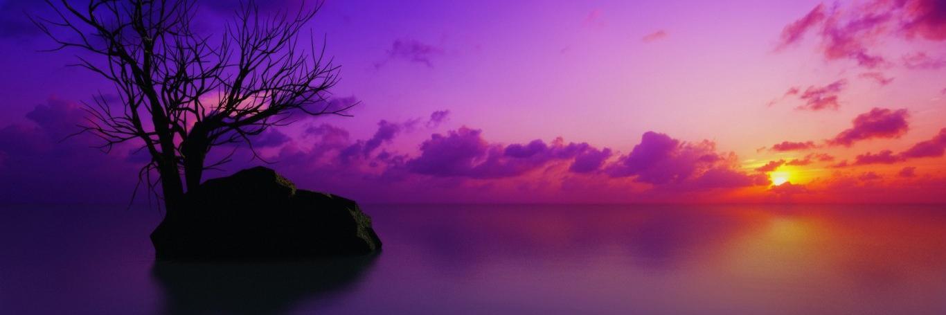 rashel3004's profile banner image