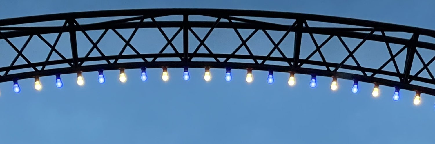 Christina Liscynesky banner