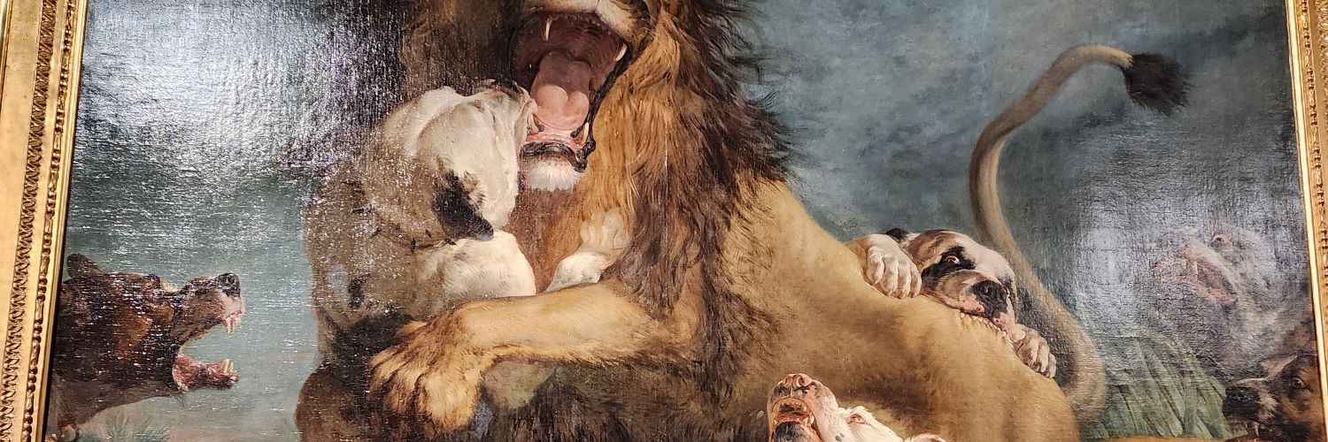 BoxTupi's profile banner image