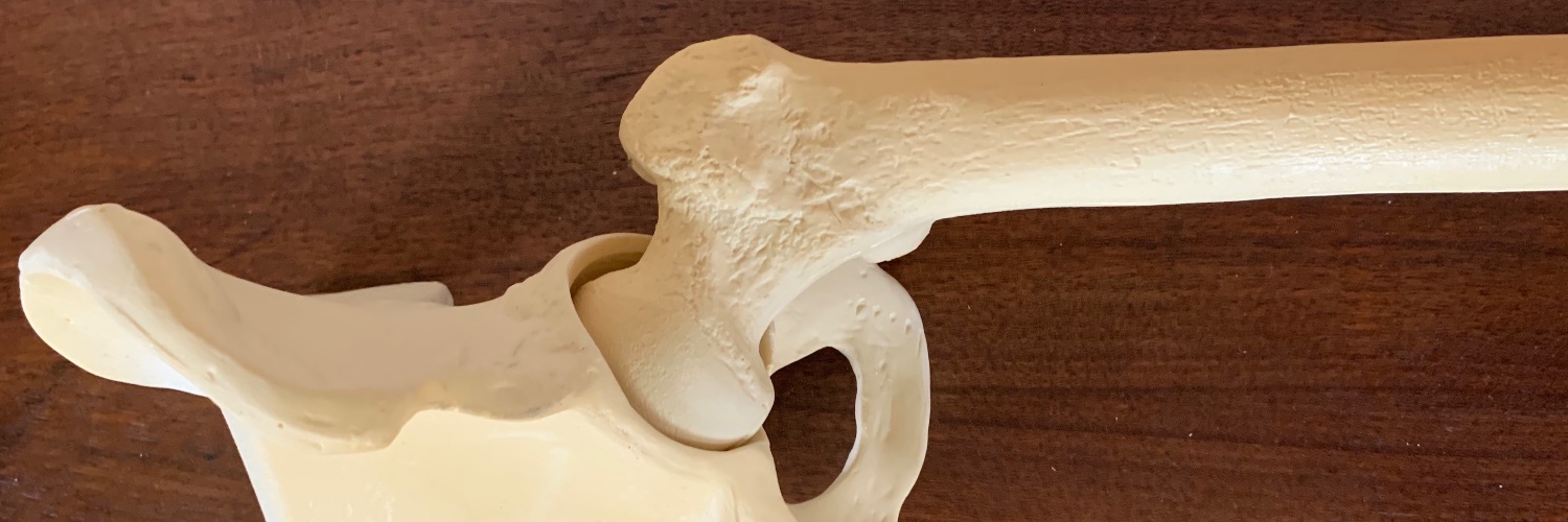 Lady Lovely interLocks, MD banner