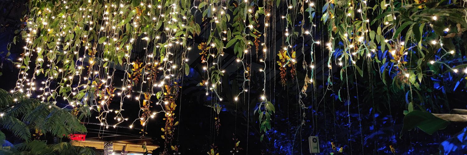 Momo | Commisions open banner