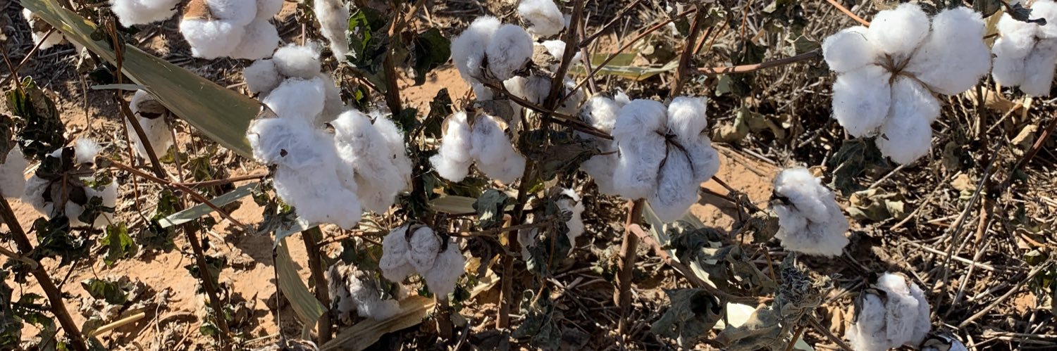 Veronica Acosta Martinez banner