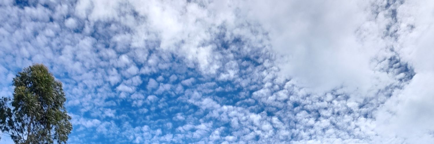 hznmml's profile banner image