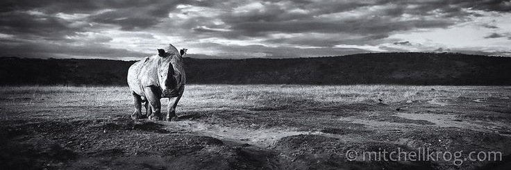pkennedyr's profile banner image