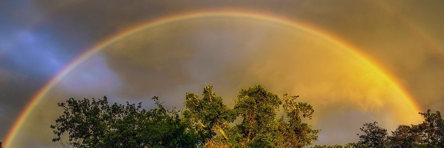미유키🌈드림 아〜이고💚!! banner
