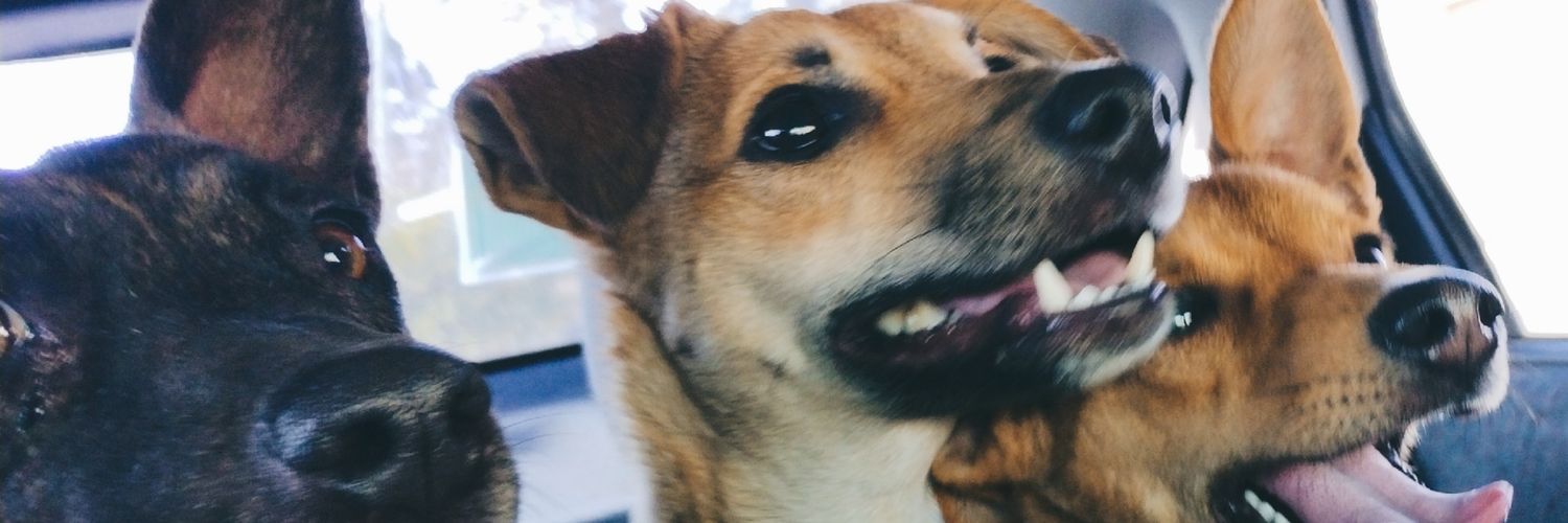godooyLean's profile banner image