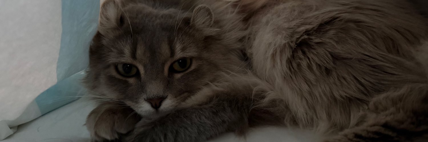 aim ✩ banner