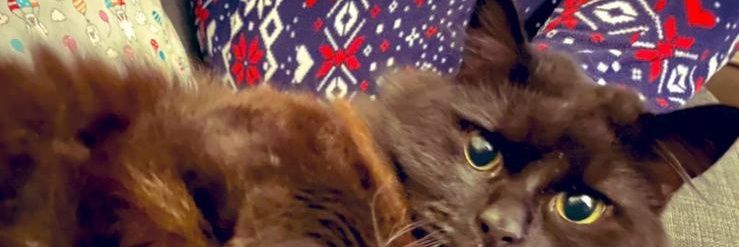 Servant of Jasper banner