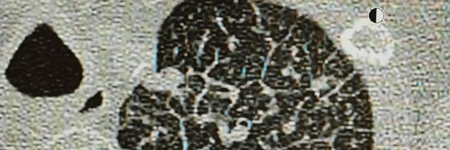 felipea_rc's profile banner image