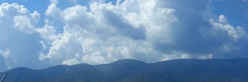 🐶 banner