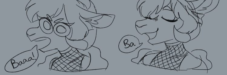 Asheko's banner