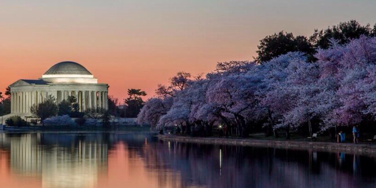 Cathy Flaherty banner