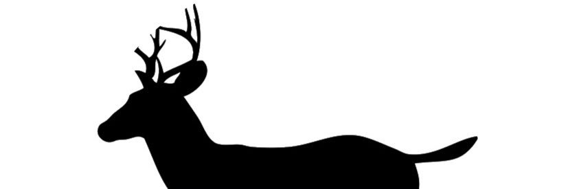 DeerRunNotary's profile banner image