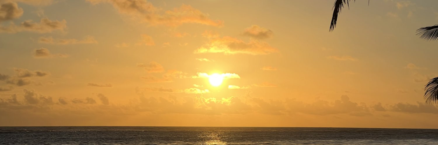PBatista021's profile banner image