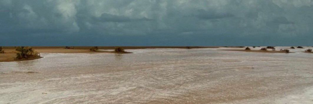 أبو ديم banner