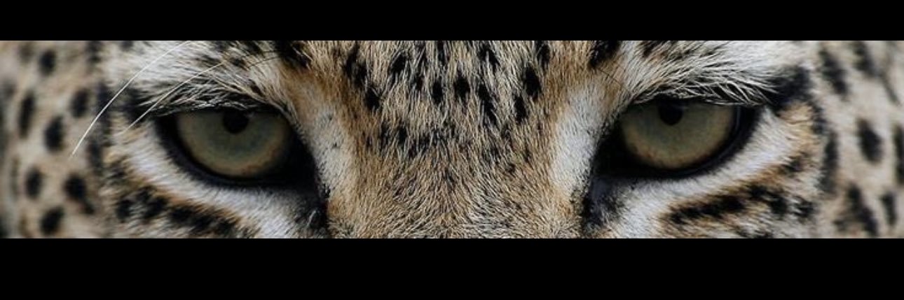 mc1x_a's profile banner image