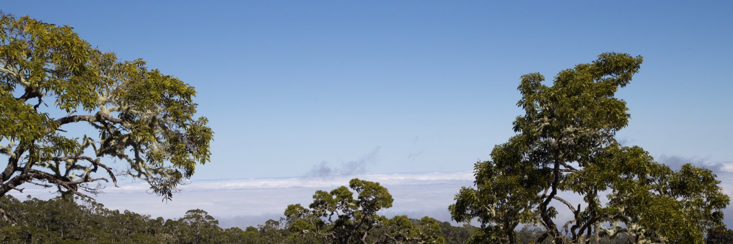 Tropical HTIRC banner