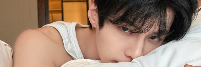 sucream.🦈 banner