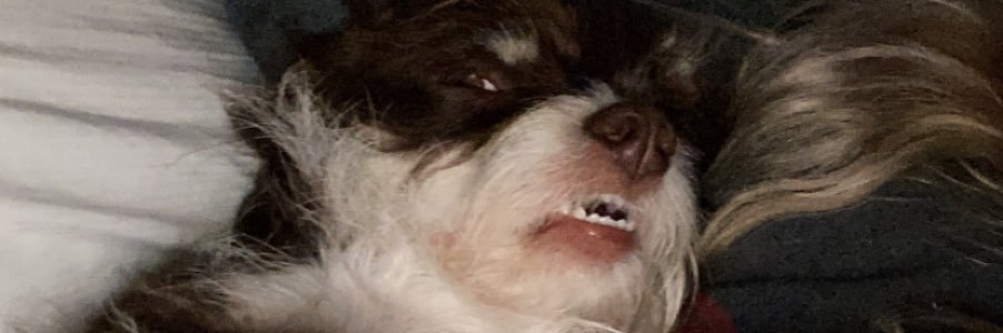 hfendleyyyy's profile banner image