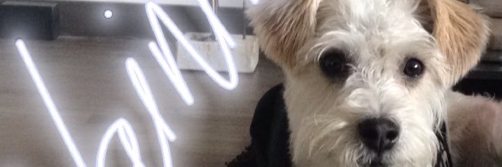 maggieteaches's profile banner image