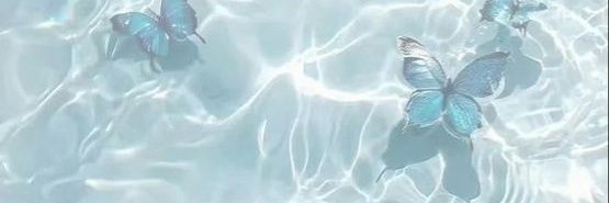cream_bear_'s profile banner image