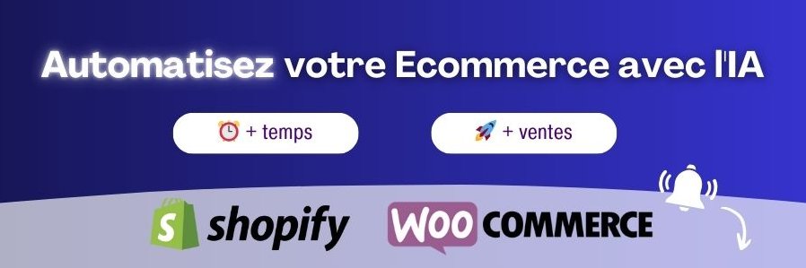 Pierre-Michel | Automatisation Ecommerce banner